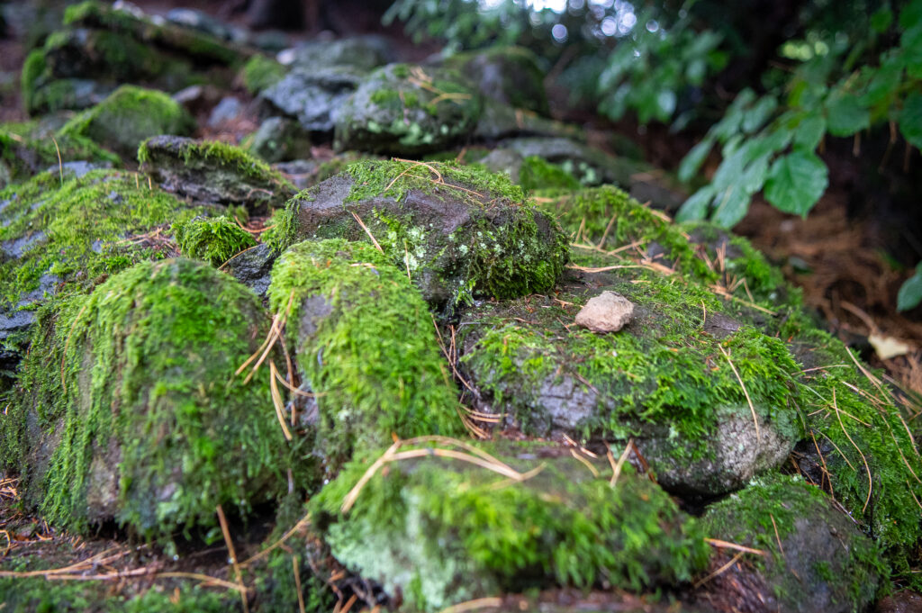 Urige Natur Rhön